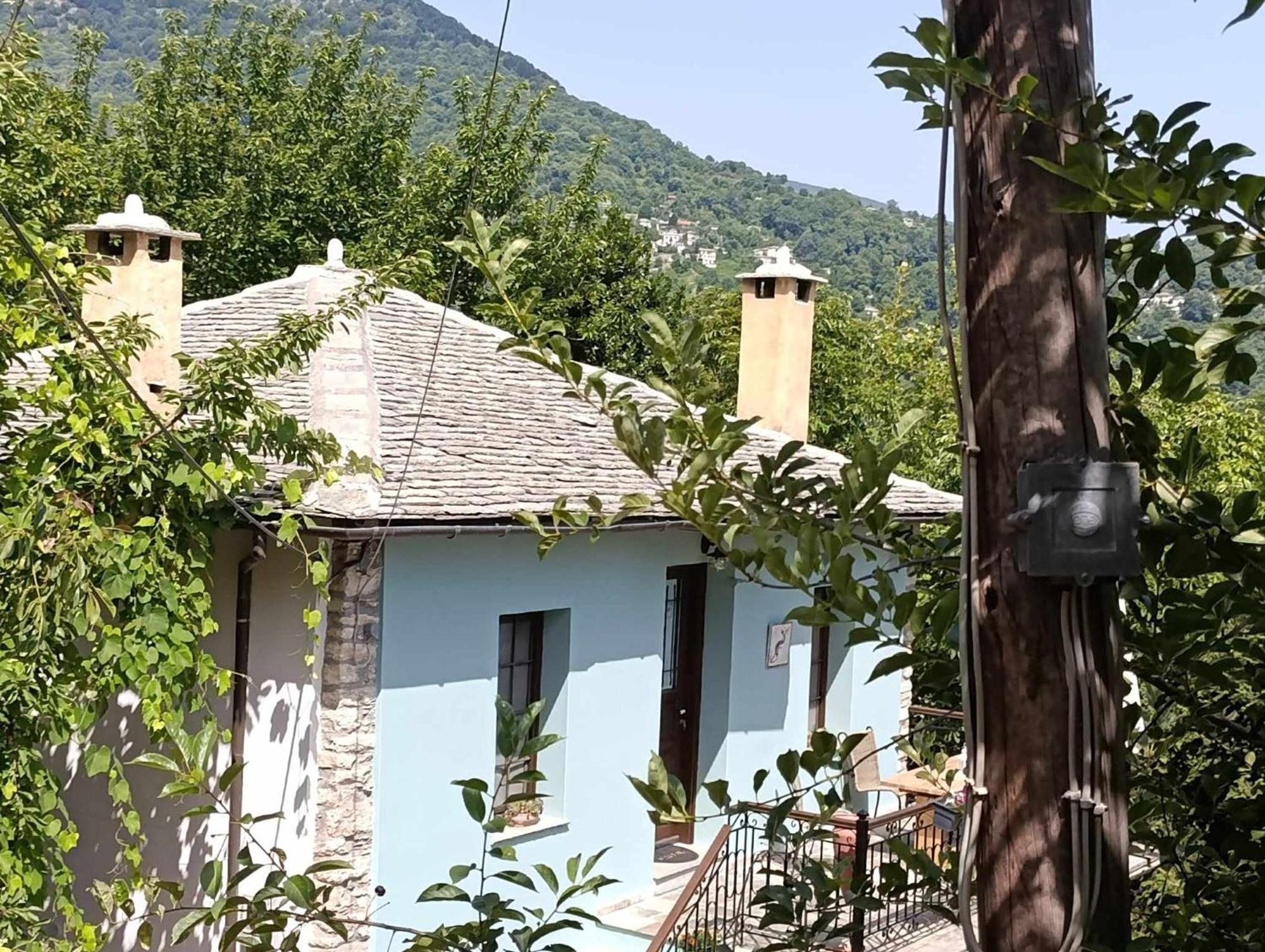 Μountain Whispers Apartment Mouresi Bagian luar foto