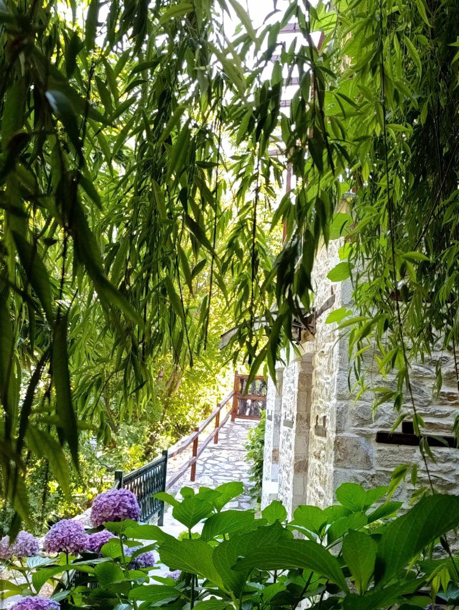 Μountain Whispers Apartment Mouresi Bagian luar foto