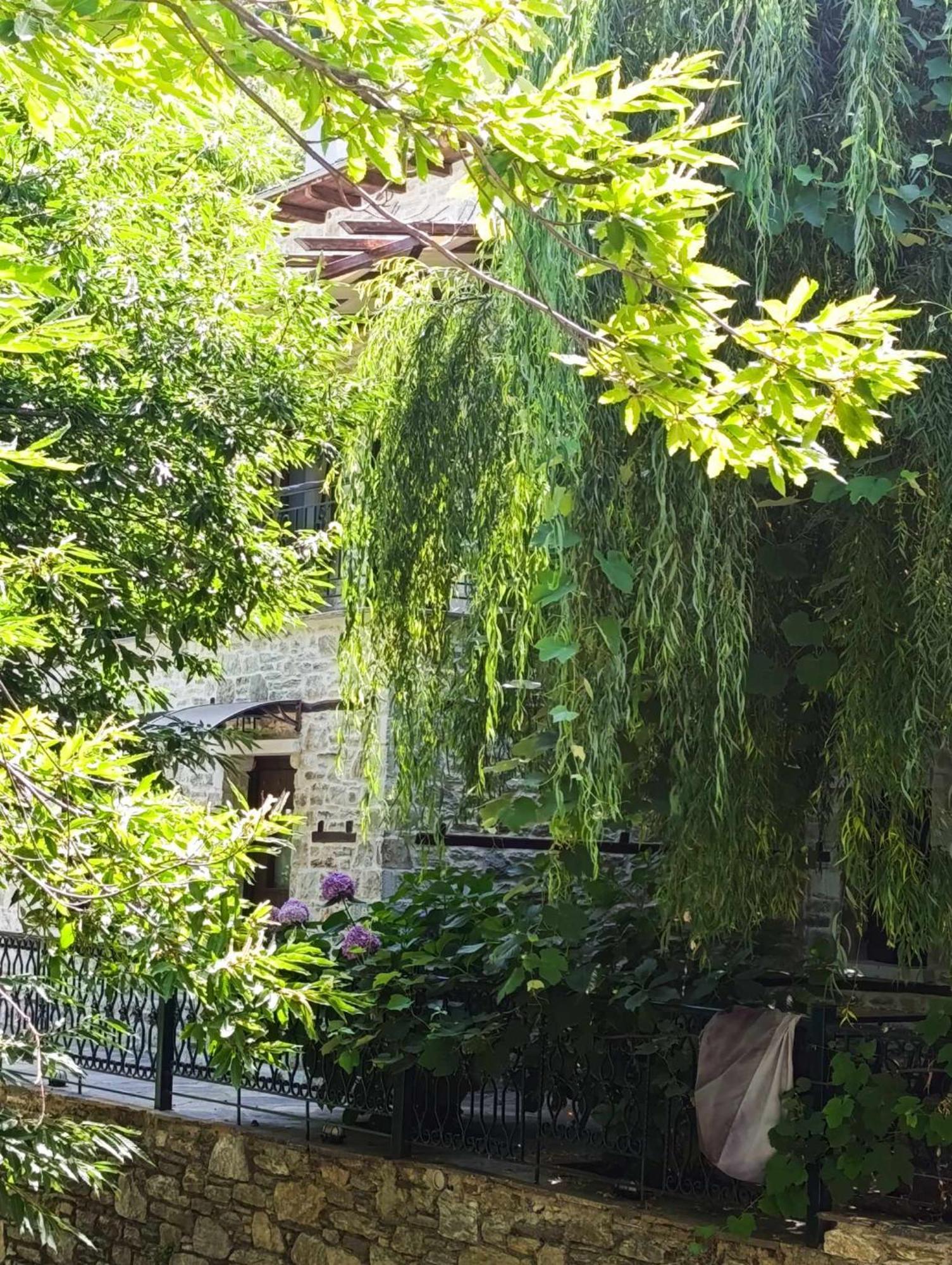 Μountain Whispers Apartment Mouresi Bagian luar foto